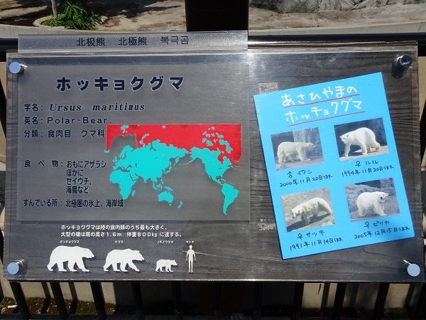 DSC03901 (2)