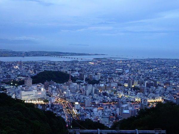 DSC05236 (2)