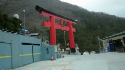 DSC_0287 (250x141)