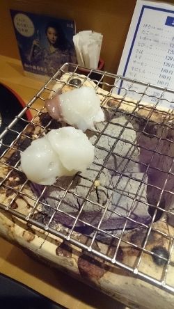 DSC_1372 (250x444)