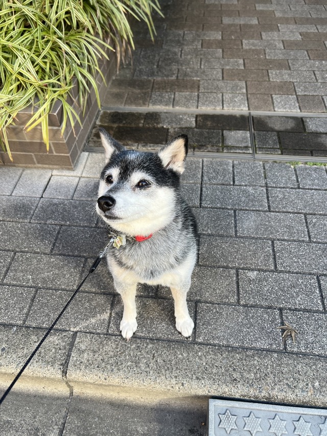 02739521-4A25-4522-98BA-9423629DBB31_1_105_c