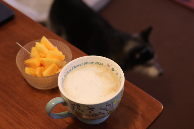 3244ED74-A1DE-4470-B6F6-45136B667D85_1_105_c