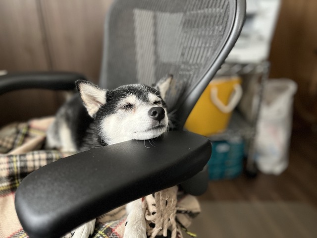 冬晴れの新宿忘年会と海老天そば