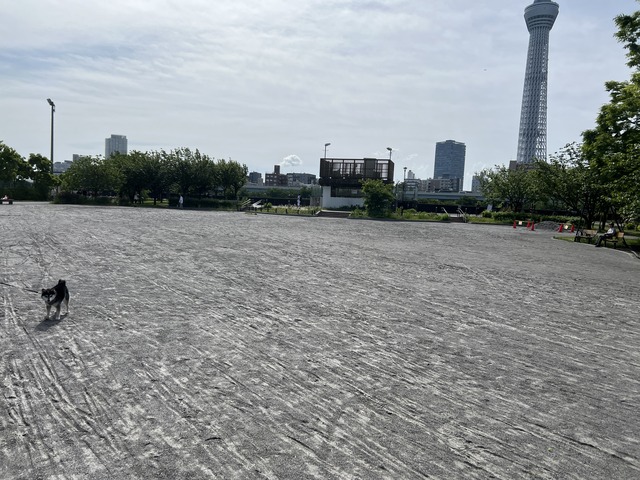 4F24ABEC-38EA-49AA-9BDB-946101ABE9DF