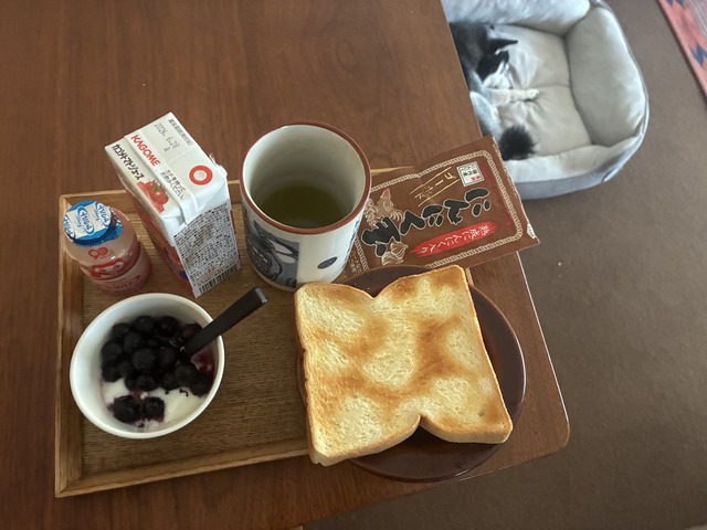 26A6EB23-8BF9-4123-87B7-91DE3BD3A2F9_1_201_a