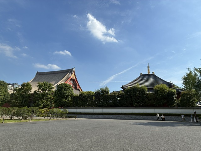 D35DE7BD-4475-4F88-B90A-626105E589D9_1_102_o