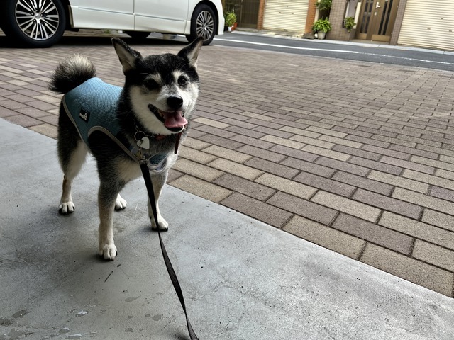 FA6C01E5-D66A-4F91-AE64-B84D9C7132C1_1_201_a