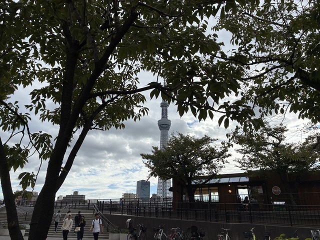 DA3BF4A3-0A5E-427F-8A79-DD04C1DC92D4_1_105_c