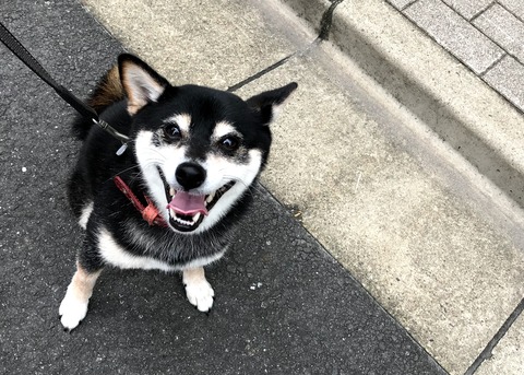 真夏のもち麦麺と腸詰キャベツ炒め