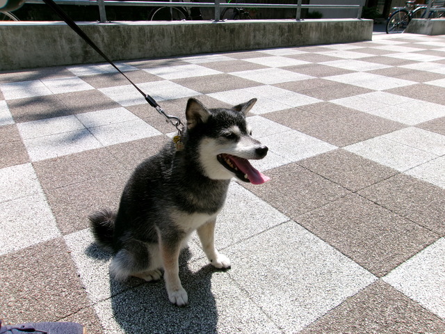 ACD17253-43F1-4708-9B74-C41B5E257504