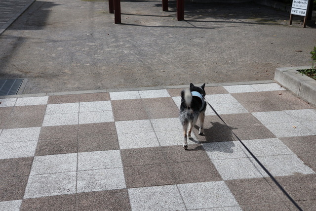 B0706343-45A5-42AE-9723-DD116672DF48_1_105_c