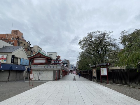 9E8F49B8-29F3-4176-AA64-CC09DE14D36B_1_105_c