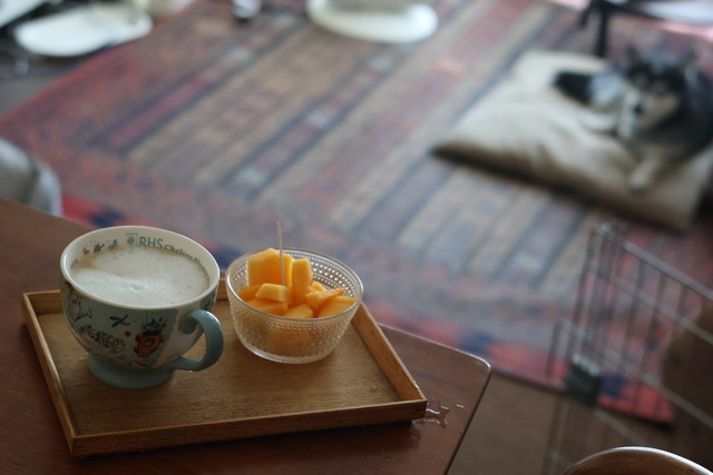 4EC52847-795D-4FCF-8E83-3FFE36EA07FA