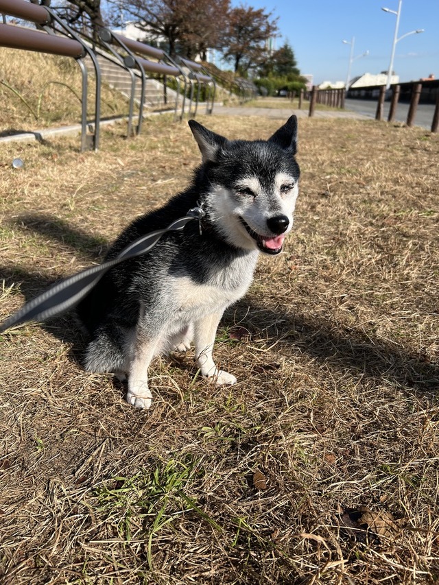 F6A96B50-D92D-4EDE-8A56-D1367641F556_1_105_c