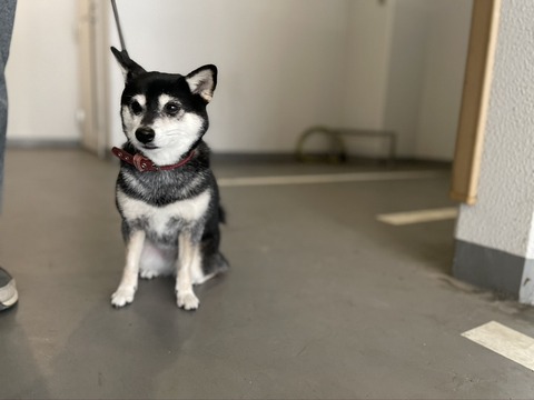 8AE9CA75-EECE-4D2F-A421-F864C73BFE5D_1_105_c