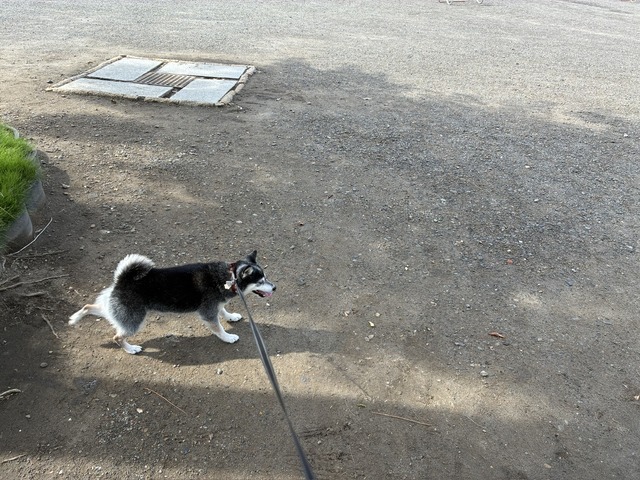 C29510D0-7A5C-4CBA-9F9D-7DCEC403CB23_1_105_c