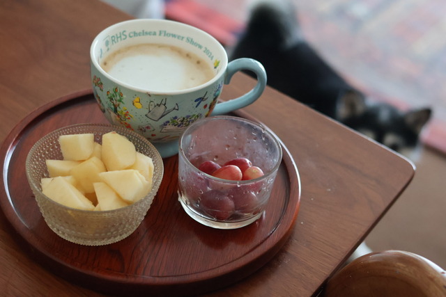 99CD4E48-08CA-4CAD-8DD2-CDF3C3813908