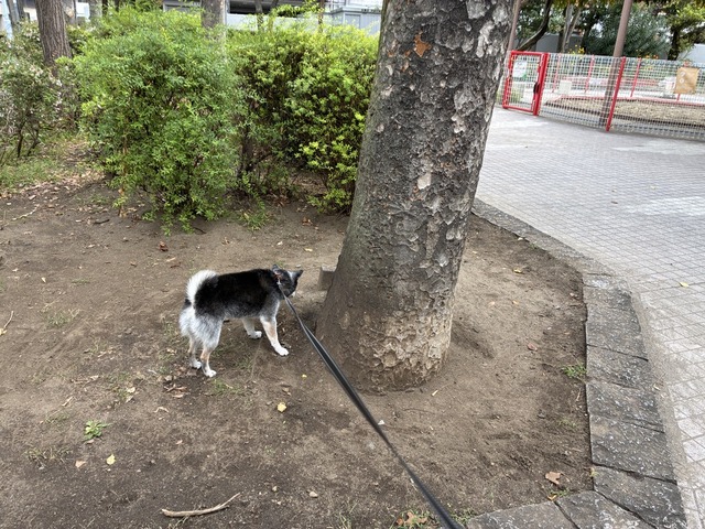 02455EEE-5E2F-4CB3-A96A-9BD26B3AB7C4_1_105_c