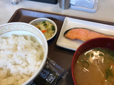 バイカウツギ開花とすき家と３種のチーズピザ