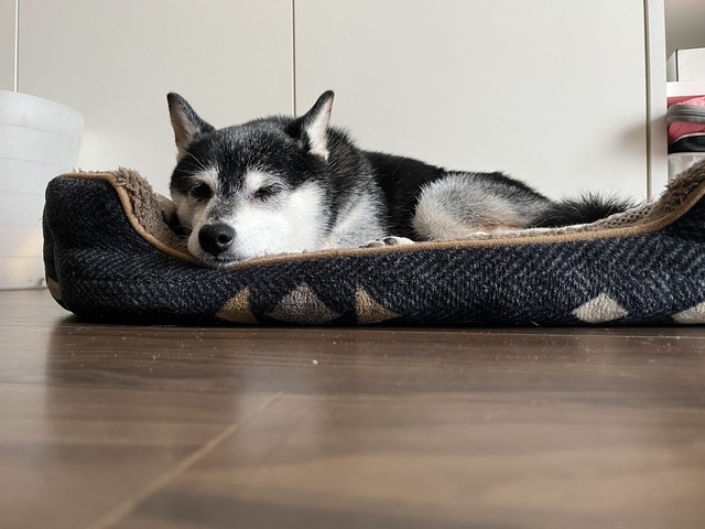 431986B4-B81A-4329-940C-0AF6B15EA655_1_105_c