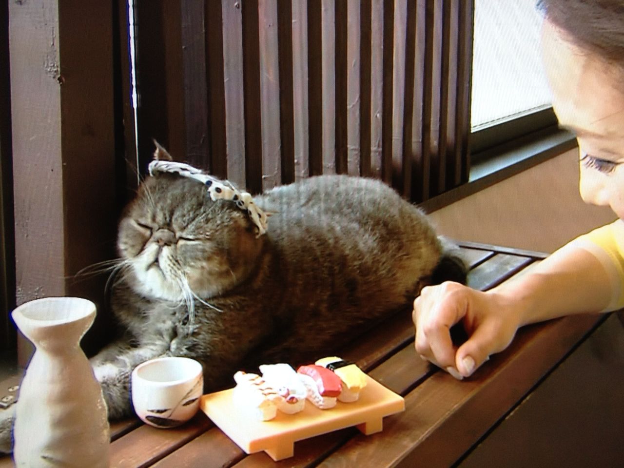 大宮のおやじ猫 昇くん 観音裏黄昏備忘録