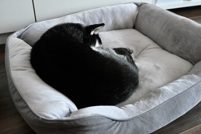 8AE13F31-66F2-4D51-B1E3-90909C928C44_1_201_a