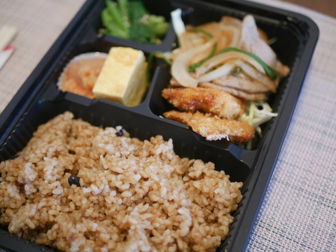 秋晴れのわびすけ弁当とバーニーズFS
