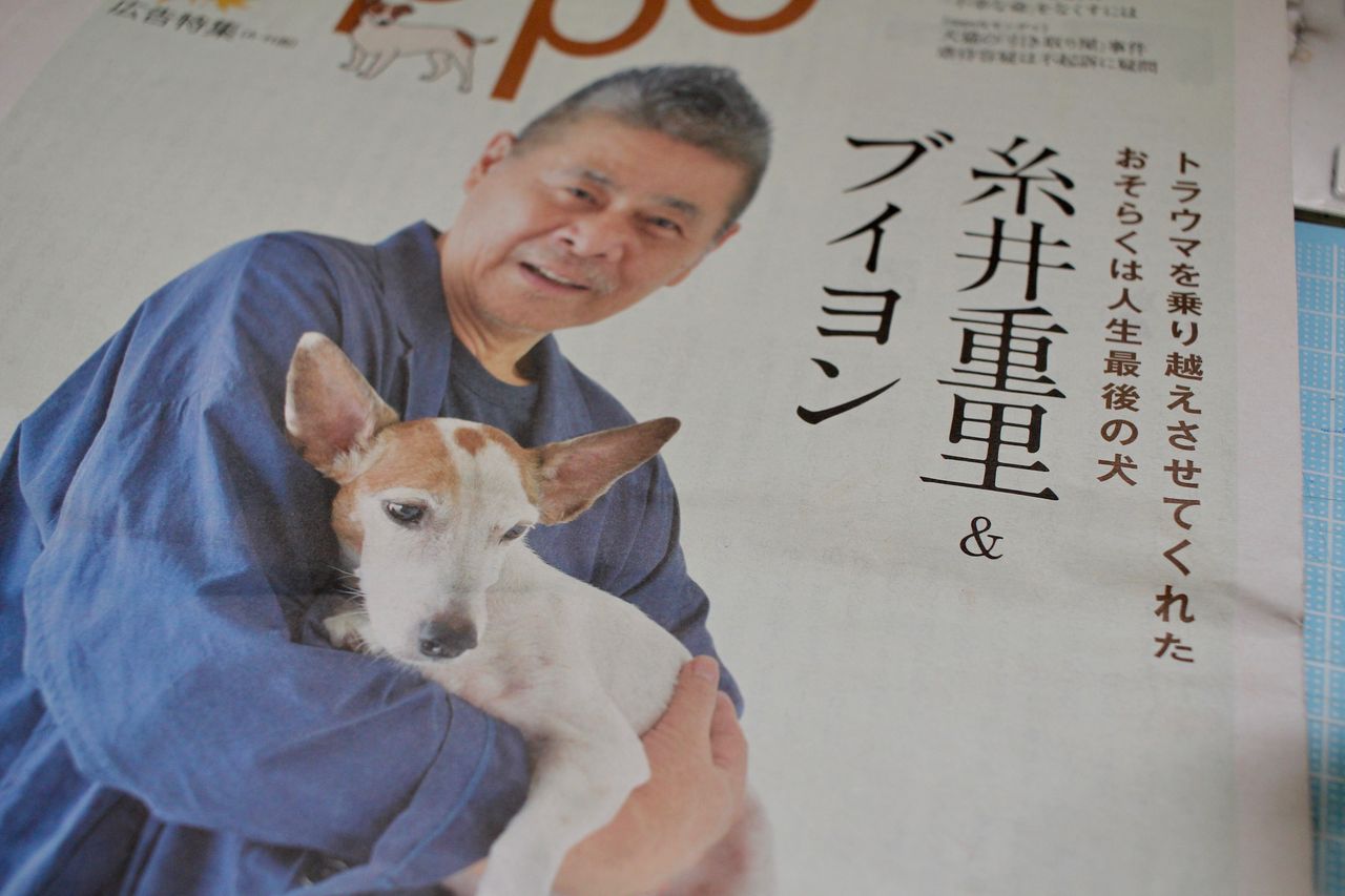 糸井重里 観音裏黄昏備忘録