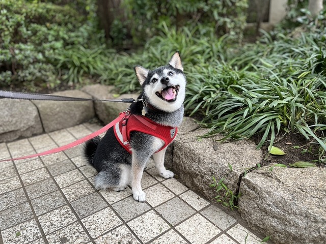 2454F1E2-248A-41AF-A7CD-BB61393860DD_1_105_c