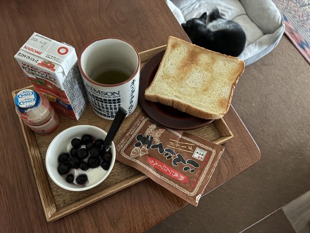 9D14B18C-2B8A-45A4-A9DB-FB56BBA13C8F_1_201_a