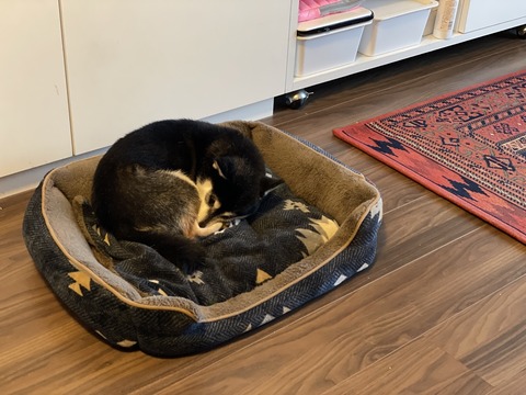 B21E8A81-CBAF-4314-B34A-483AC62906F9_1_105_c