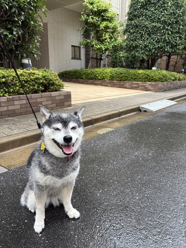 多湿のたらこパスタとコロッケパン