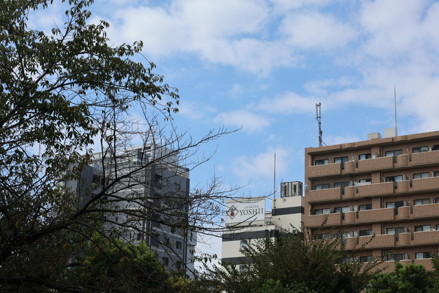 1A325C23-5B6B-4B39-90DF-D3AB52D1FA87