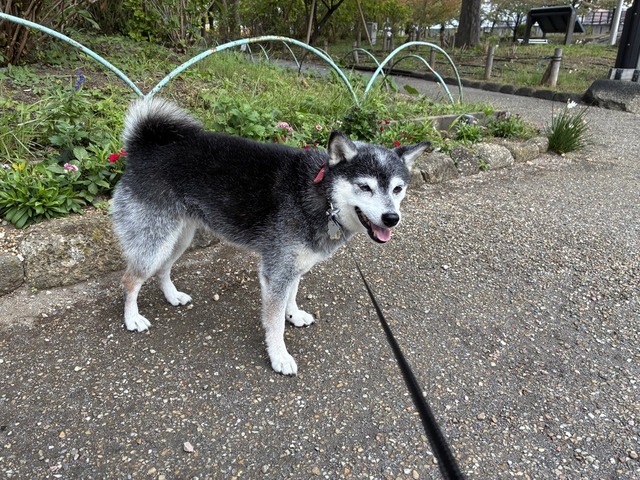 C43A4CC0-B36F-4520-8202-67680589BF9C_1_105_c