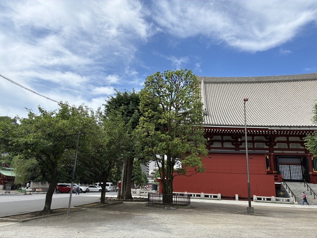 5FCCED0A-5A15-4709-9FED-55479DF1DB4F_1_105_c