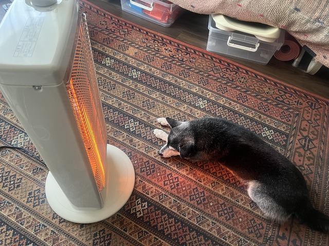 DF145B93-04A1-4D51-B170-E806934505FD_1_201_a