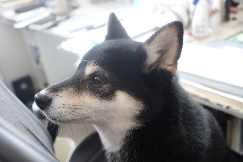 曇天の納豆ランチとライフ惣菜と黒柳徹子