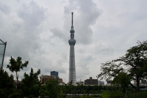 IMG_8967