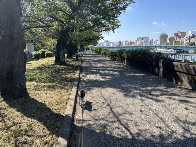 37753F9E-11B0-4C64-9A75-8A905E5966B7_1_105_c