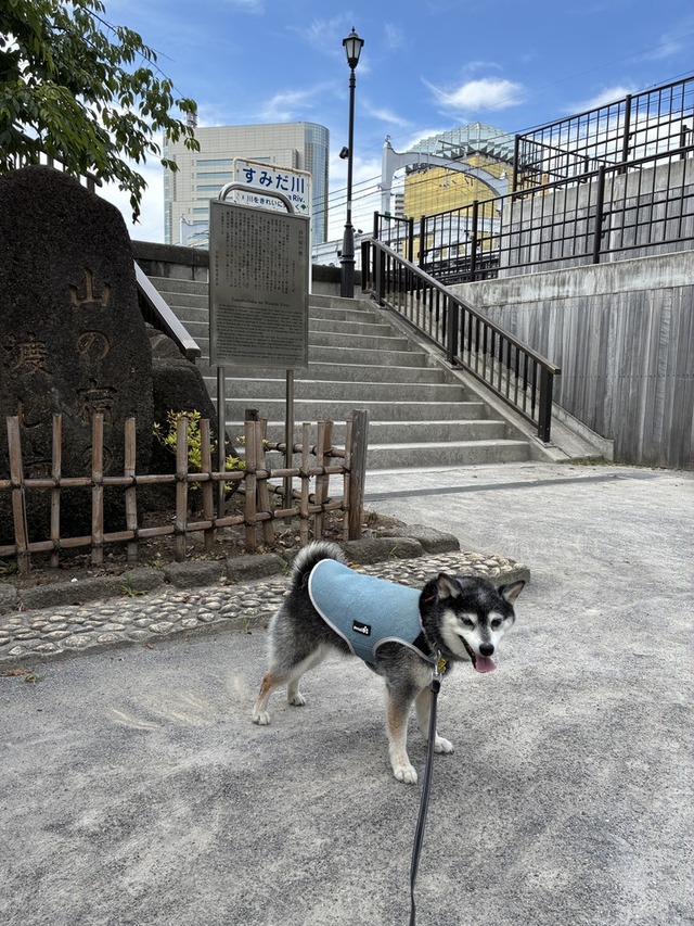 843A74F4-51F2-480B-9CE2-5CDCDEF30D3D_1_105_c