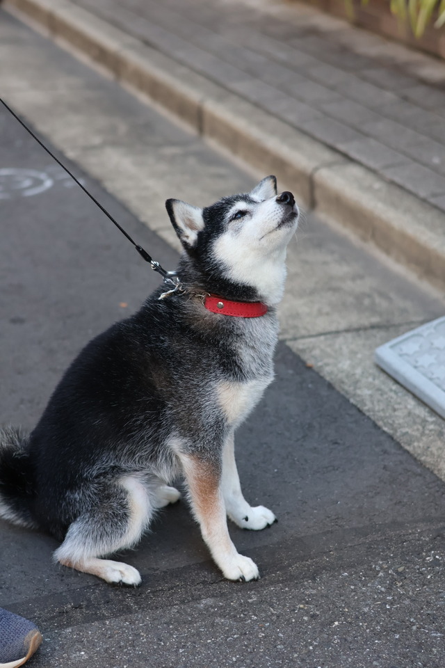 3B7CF7DE-1794-40AD-BAAD-5A133CB82F7D