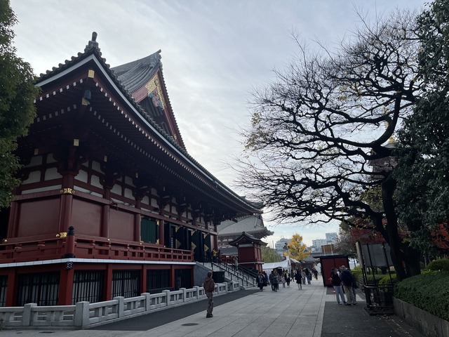 5FC50E78-9D5C-401E-BA95-5C86C6CA65FE_1_105_c