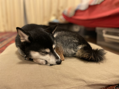 5DDBD512-90BF-40F9-9C83-6F5E508BB846_1_105_c