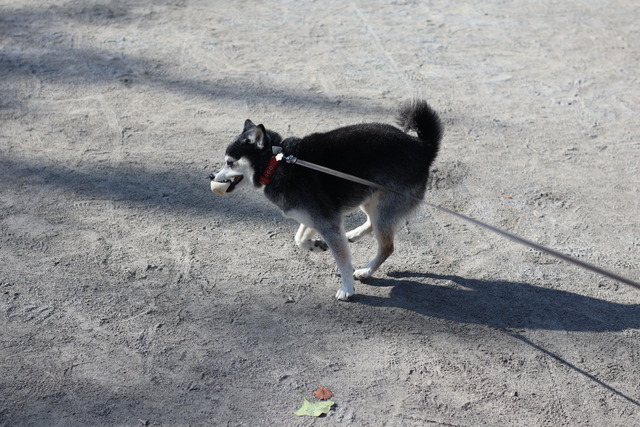 2812E020-4D85-4D93-B4DE-8BB03160262F