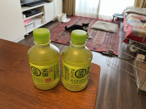 55606FB1-522F-4000-8729-E26046A000E0_1_105_c