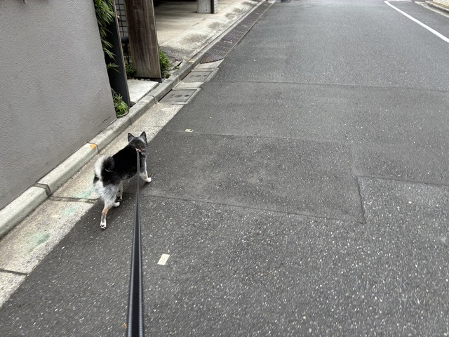 6EAEED5B-9AD2-46DE-BD0F-301FDBD91B59_1_105_c