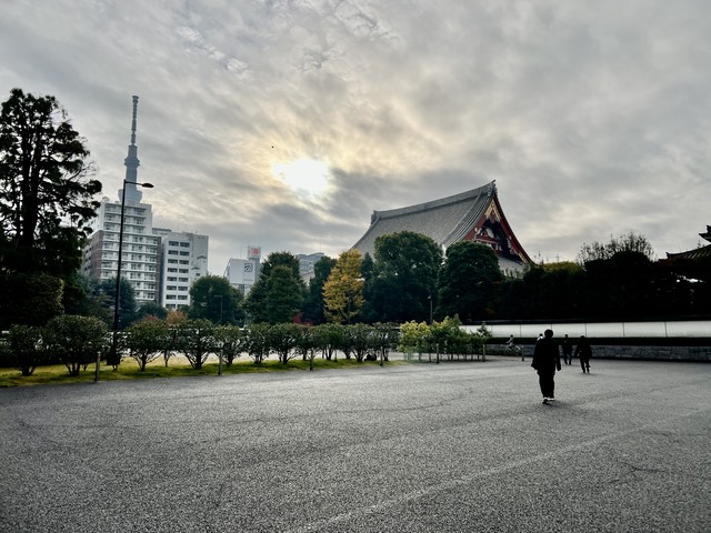 51A52144-FC15-46DB-BF85-CF6B6547DAE4_1_201_a