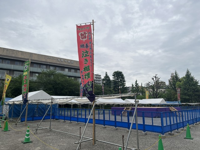 31E1D7D3-0A97-4312-AD4B-B367A07450B0_1_102_o