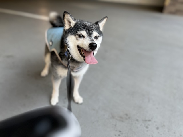 901FBB60-14BC-4C47-84BB-D1B3BD3245BA_1_105_c