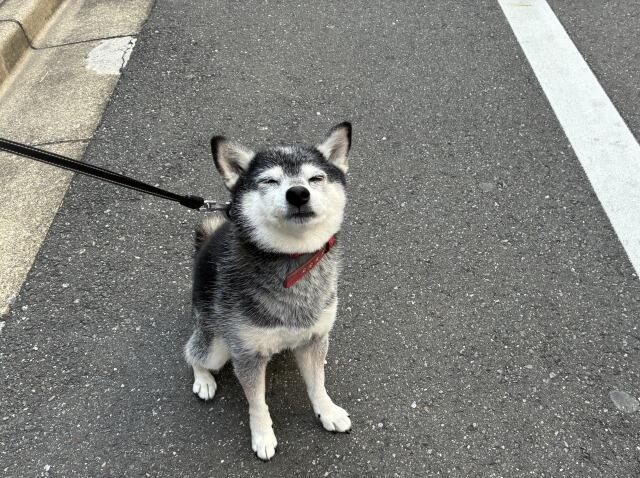 8D3249BC-808E-4629-A3C1-BAB58FA0C2CB_1_201_a